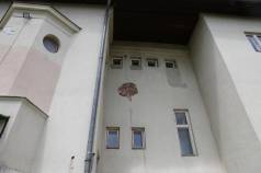 IMG 6363